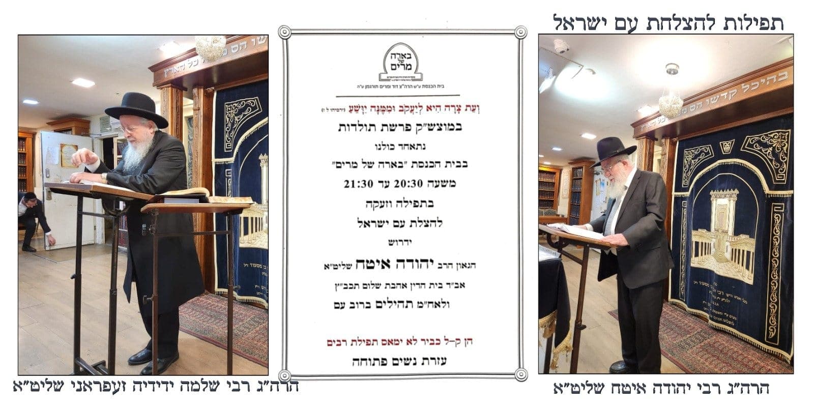 קולאז׳ תמונות מהקהילה 9